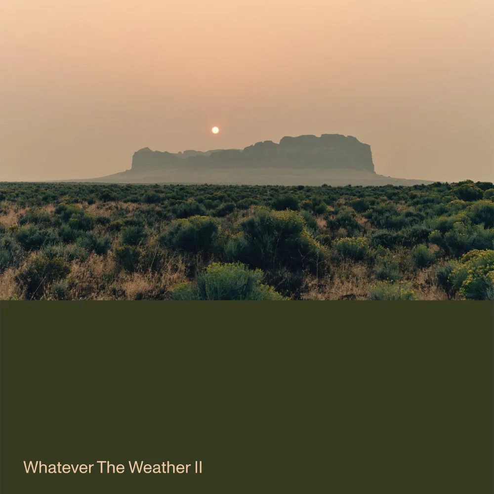 Album cover for Whatever The Weather II by Whatever The Weather