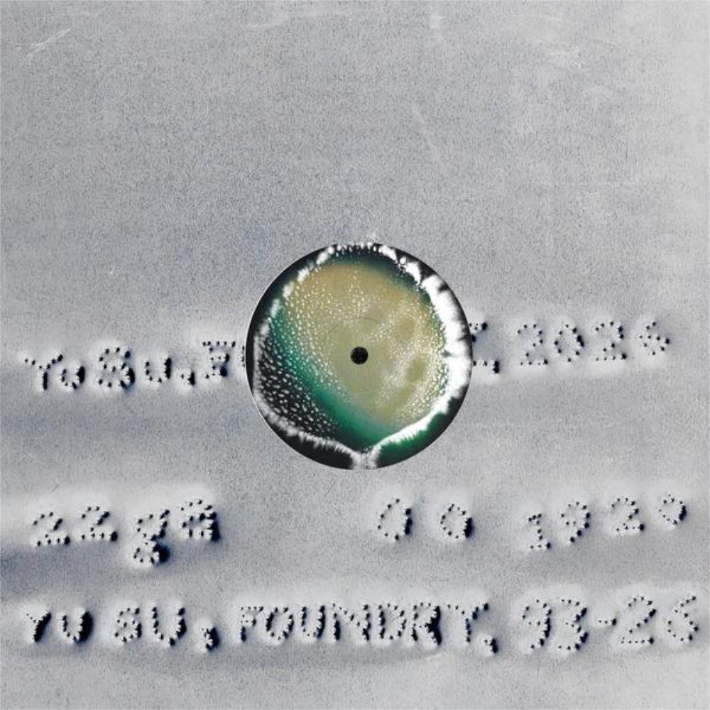 Album cover Yu Su - Foundry