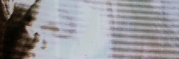 img of Bergsonist - Bergsonist