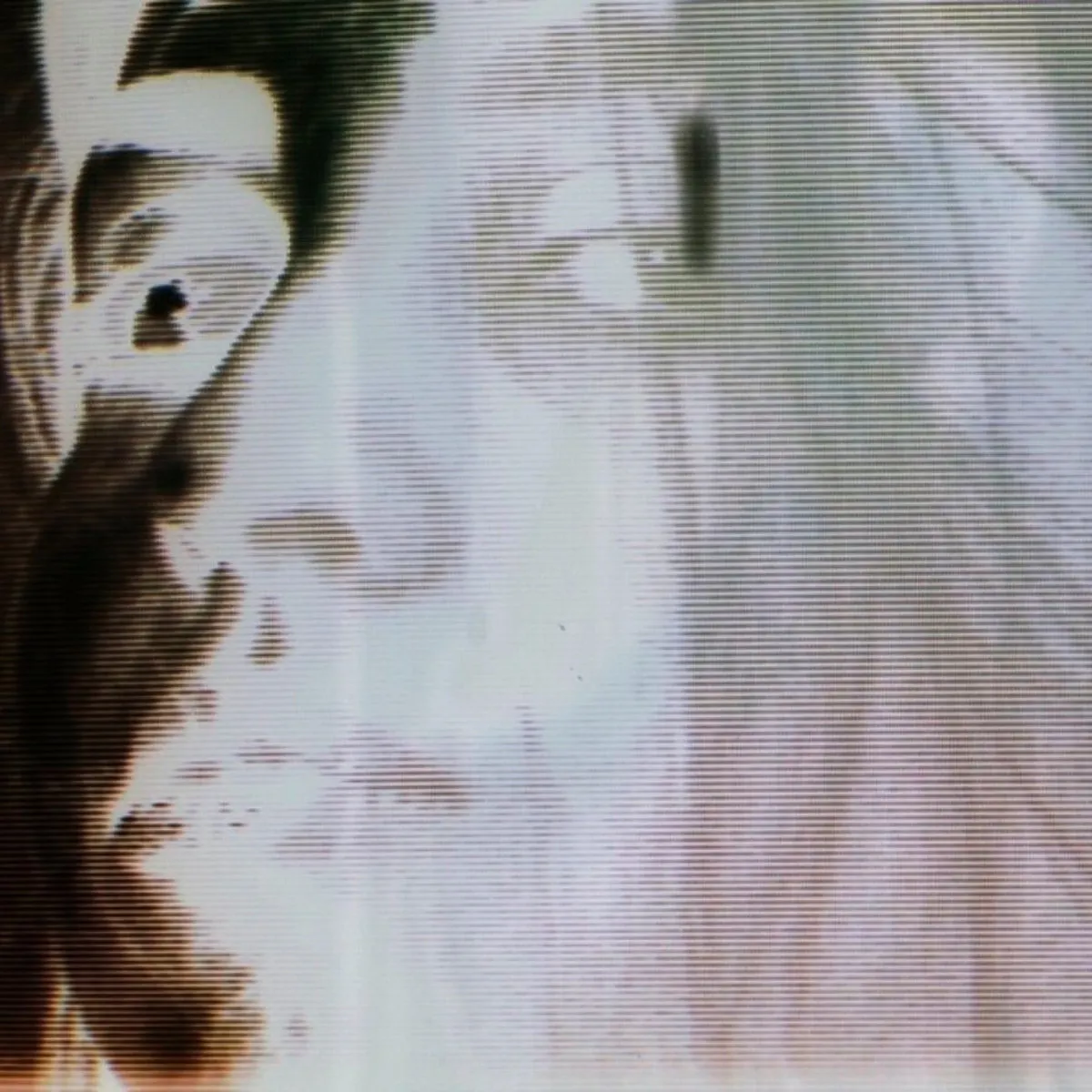 Album cover for Bergsonist by Bergsonist